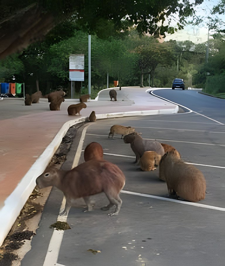 Confortável Flat Cavalinho Branco com lazer em Águas Lindóia